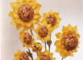 /album/latkove-slunecnice/a1264056810-014851-jpg1/
