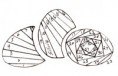 /album/obrazky1/eggs-jpg/