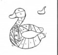 /album/obrazky1/swimduck-jpg/