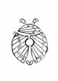 /album/obrazky1/ladybug-jpg/