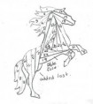 /album/obrazky1/stalion-jpg/